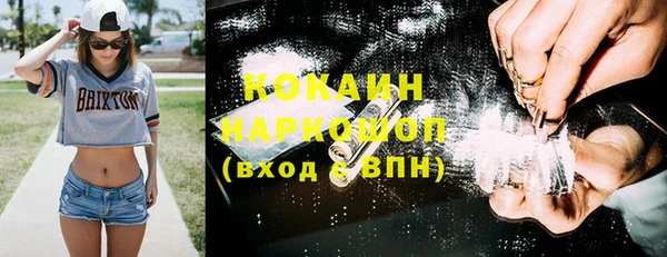 соль ск Алексин