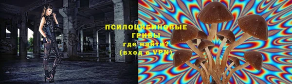 соль ск Алексин