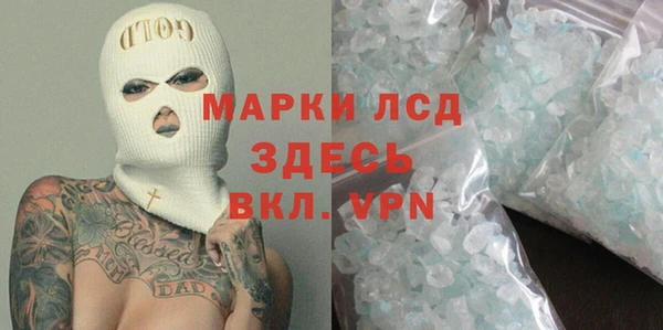 сатива Аркадак