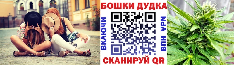 Каннабис сатива  Урай 